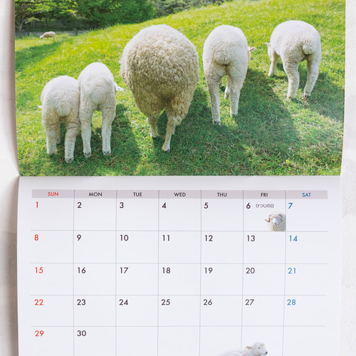 2025ひつじめぐりカレンダー A4（開いてA3） 撮影：平林美紀