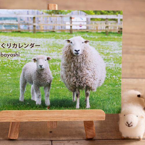 2025ひつじめぐりカレンダー A4（開いてA3） 撮影：平林美紀