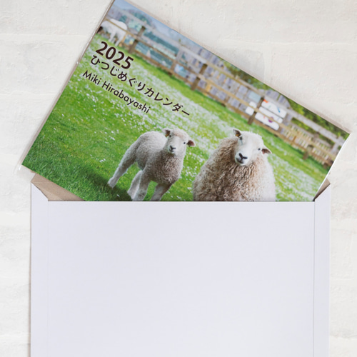2025ひつじめぐりカレンダー A4（開いてA3） 撮影：平林美紀