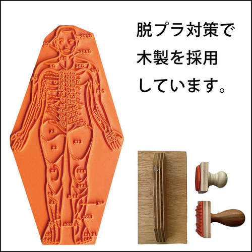 人体図スタンプ Pro. 神経検査図 前向き 天然ゴム使用のゴム印 医療用