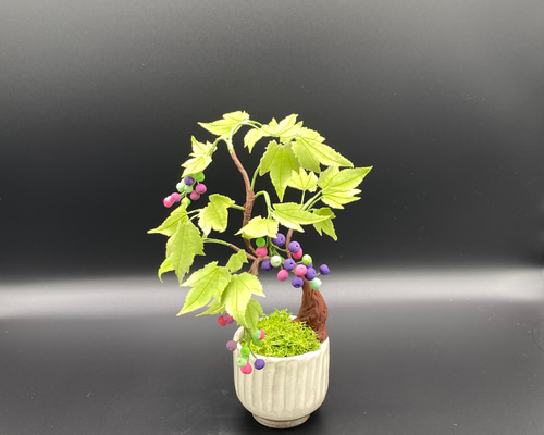 5f24a4ce82c87922940d283ec44b24