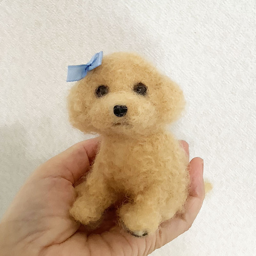 羊毛フェルト＊トイプードルの子犬＊犬＊子犬 羊毛フェルト