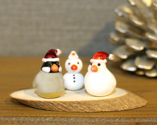 白文鳥クリスマスセット