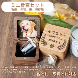 〈限界価格〉ペットの毛いれ　折れ耳　シェルティ　コリー　犬の毛　遺毛 限界価格〉ペットの毛いれ 折れ耳 シェルティ コリー 犬の毛 遺