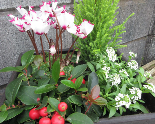 35882f522382cc5fa02ab9afc83e83