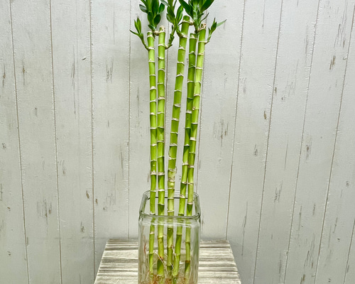 291b24af8f4315db165a0bd3cd2dc8