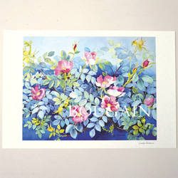 カタクリ・アズマイチゲ 】 ORIGINAL GICLEE 水彩画を高級紙に印刷した