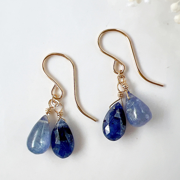 14kgfタンザナイト・ブルーサファイアピアス/イヤリング