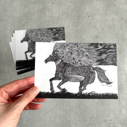 年賀状／馬のポストカードセット 5枚組 2026干支 ポストカード 日高