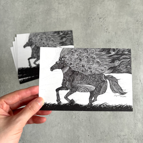 年賀状／馬のポストカードセット 5枚組 2026干支 ポストカード 日高