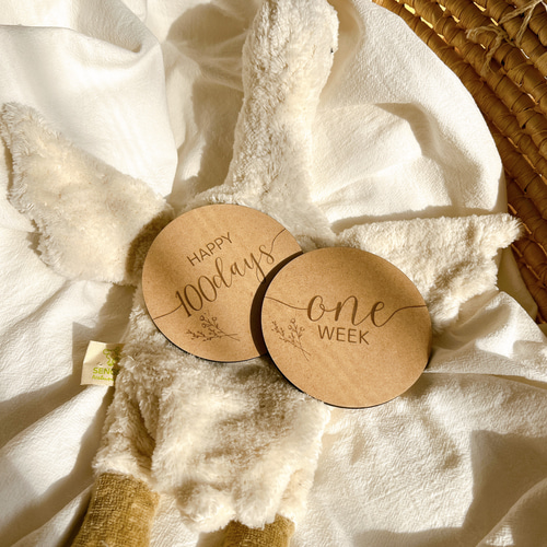 送料込] 木製 レターバナー 15枚セット マンスリーカード マンスリー