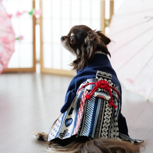 袴 はかま 和服 和装 和柄 七五三 イベント お正月 卒業式 犬 猫 袴 はかま 和服 和装 和柄 七五三 イベント お正月 卒業式 犬 猫