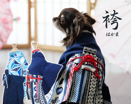 袴 はかま 和服 和装 和柄 男の子 イベント 卒業式 記念日 結婚式 犬