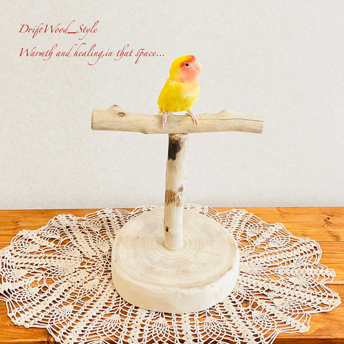 流木インテリア 中～大型インコも止まれる天然流木の小鳥の止まり木