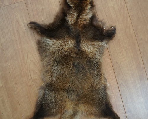 たぬきの毛皮ラグ e4ef58092b945f91cb5b4e1e073f3d