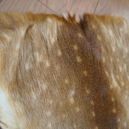 在庫SALE*バンビの毛皮S リアル毛皮 バンビ 小鹿 その他素材 メゾンド