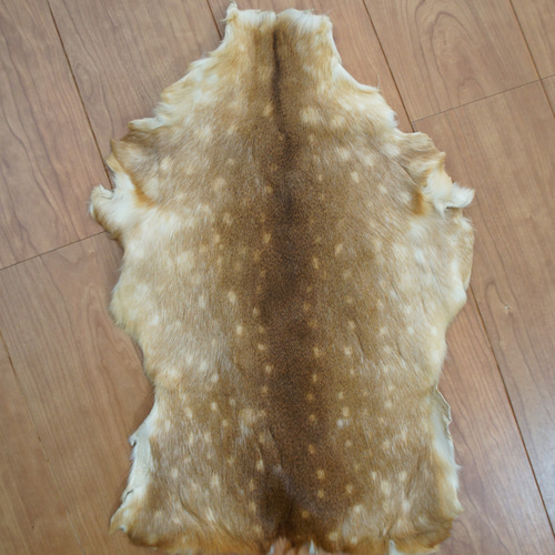 在庫SALE*バンビの毛皮S リアル毛皮 バンビ 小鹿 その他素材