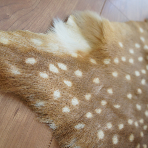 在庫SALE*バンビの毛皮L リアル毛皮 バンビ 小鹿 その他素材 メゾンド