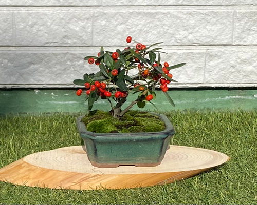 564f8f48e4937af67b382c93124611