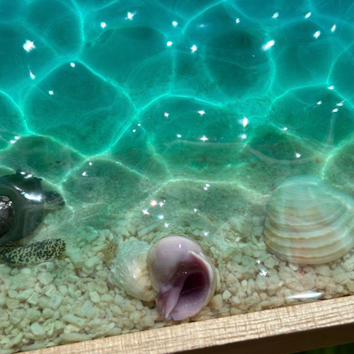 波紋木製トレー ホヌ付き レジンアート オーシャンアート 海