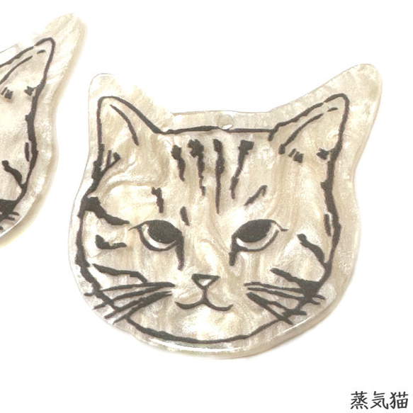  第4張的照片
