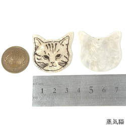  第6張的照片