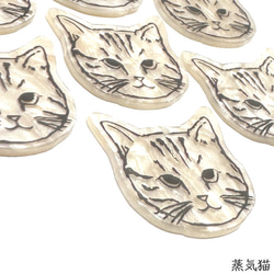  第3張的照片