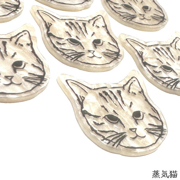  第3張的照片