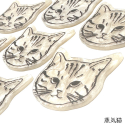  第2張的照片