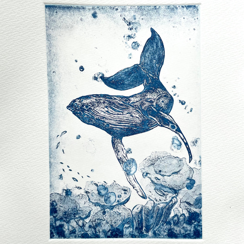 銅版画：サンゴの海のクジラ（額装込み） 版画 Mai.Yamashita 通販