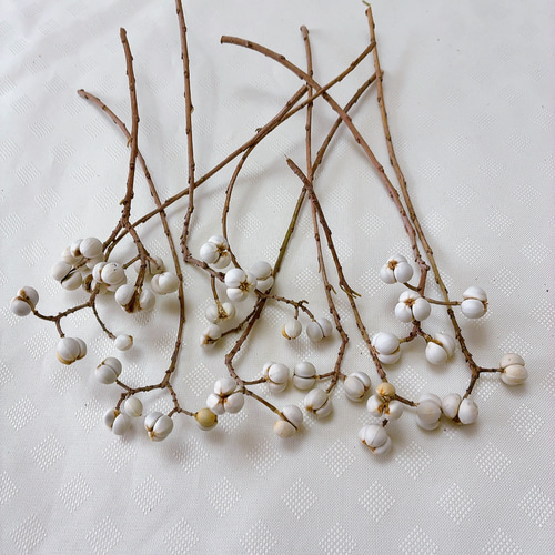 ナンキンハゼの実 1〜4粒のセット 50本 ドライフラワー Satsuki 通販