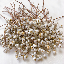 ナンキンハゼの実 1〜4粒のセット 50本 ドライフラワー Satsuki 通販