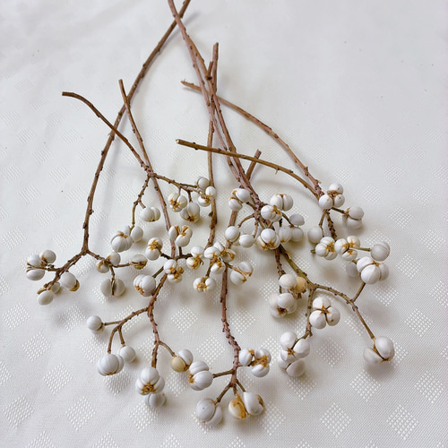 ナンキンハゼの実 1〜4粒のセット 50本 ドライフラワー Satsuki 通販