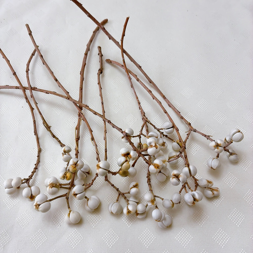 ナンキンハゼの実 1〜4粒のセット 50本 ドライフラワー Satsuki 通販