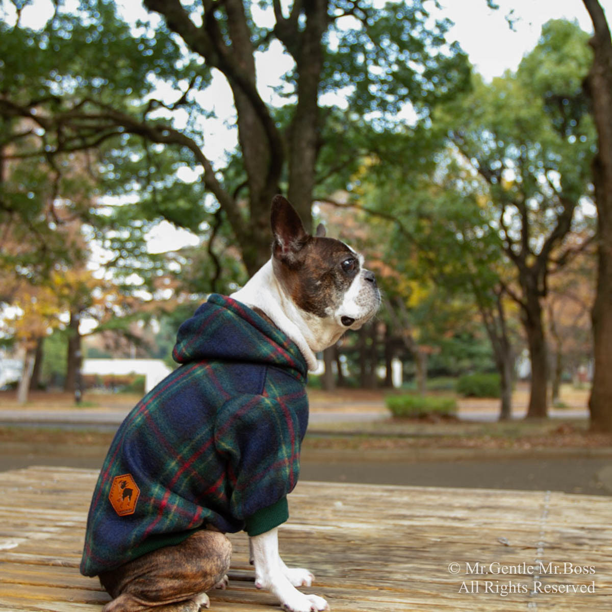 ブラッグウォッチ タータンチェック柄 フリース パーカー☆　犬服