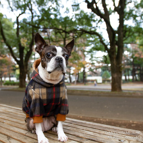 イギリス風 タータンチェック柄 フリース パーカー☆ 犬服 ペット服