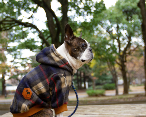 e82980c1cfe5b63377b8c9af428539