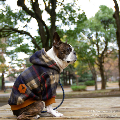 イギリス風 タータンチェック柄 フリース パーカー☆ 犬服 ペット服