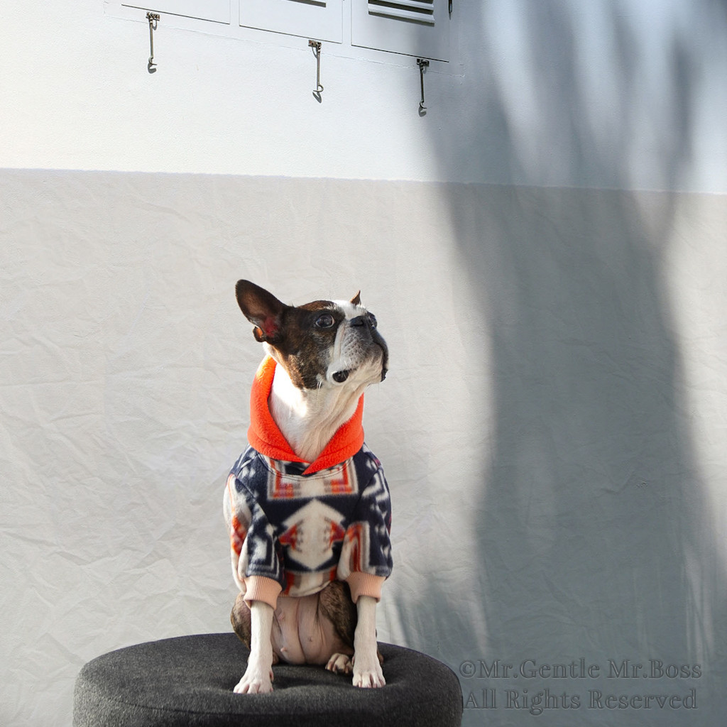 アメリカンネイティブ柄 フリース パーカー☆　犬服 5,498円