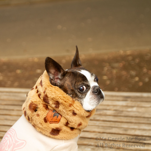 エコーファー☆Beige☆レオパード柄 ネックウォーマー 犬服 ペット服