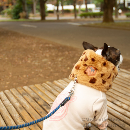 エコーファー☆Beige☆レオパード柄 ネックウォーマー 犬服 ペット服