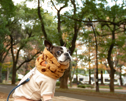 エコーファー☆Beige☆レオパード柄 ネックウォーマー 犬服 ペット服