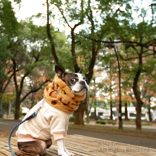 エコーファー☆Beige☆レオパード柄 ネックウォーマー 犬服