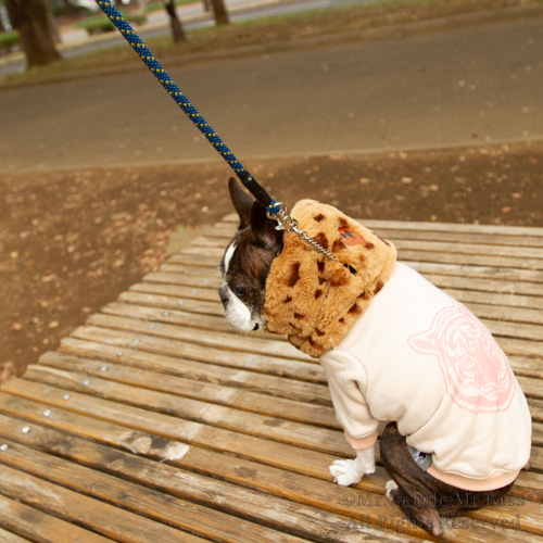 エコーファー☆Beige☆レオパード柄 ネックウォーマー 犬服 ペット服
