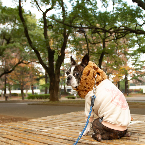 エコーファー☆Beige☆レオパード柄 ネックウォーマー 犬服 ペット服