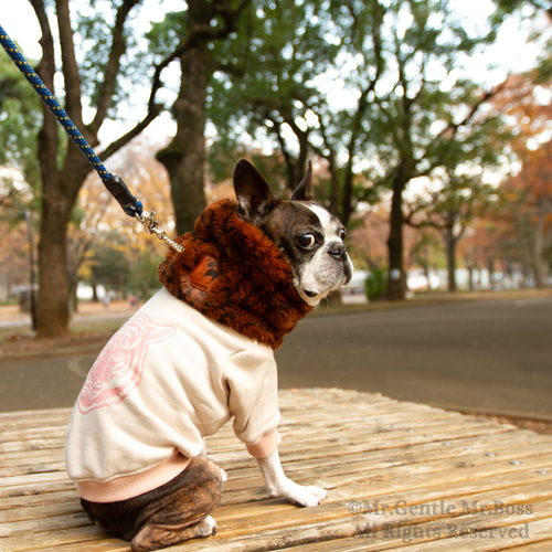 エコーファー☆Brown☆レオパード柄 ネックウォーマー 犬服 ペット服