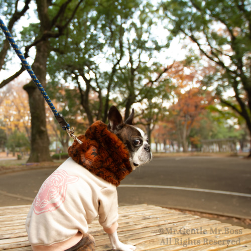 エコーファー☆Brown☆レオパード柄 ネックウォーマー 犬服 ペット服