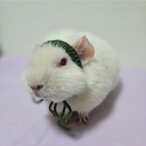 【本日発送可能◎】 モルモット ぬいぐるみ 廃盤【お値下げ◎】 モルモット ぬいぐるみ ふわふわ キュート販売 CUTE MOUMOU