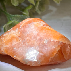 8f8a0fd9b71733d33d158dfae3f6e9