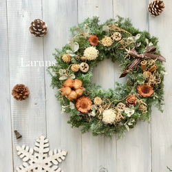 9d2977af2860c7750289f87f61632a